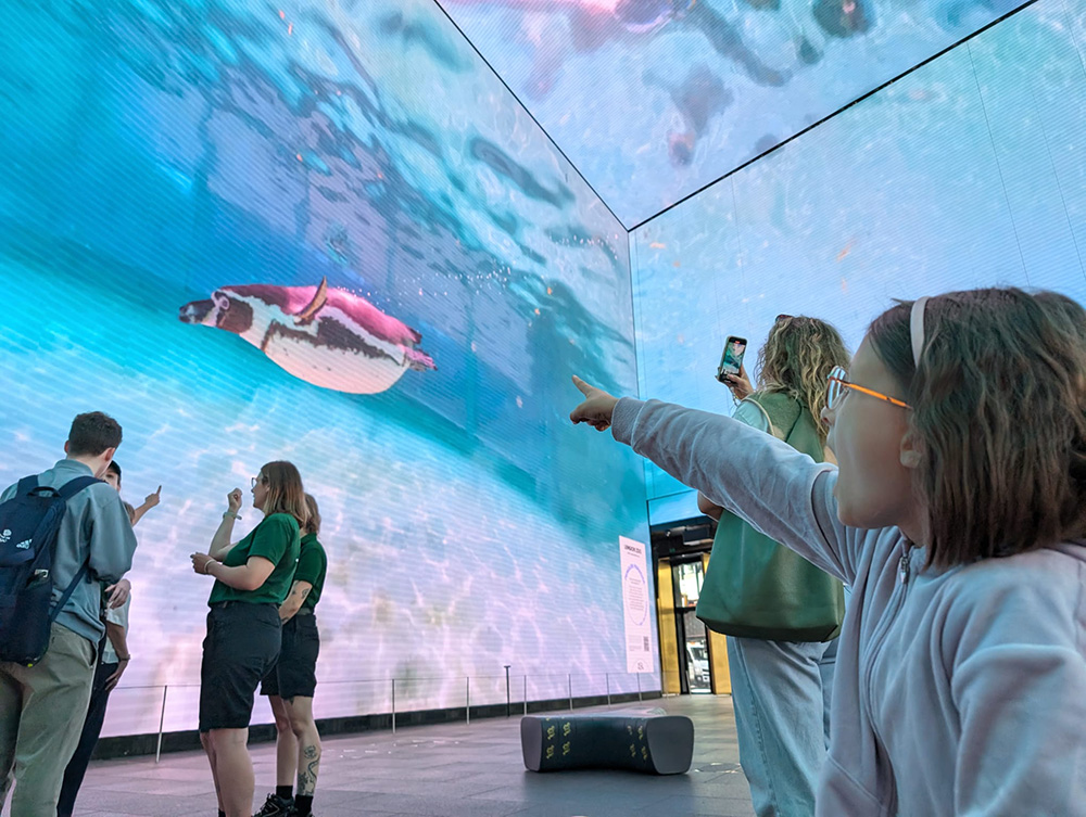 ZSL London Zoo penguins 360 video